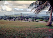 Wilcommen, No. 0082 Saipan Government Housing Up Capitol Hill Looking Northeast